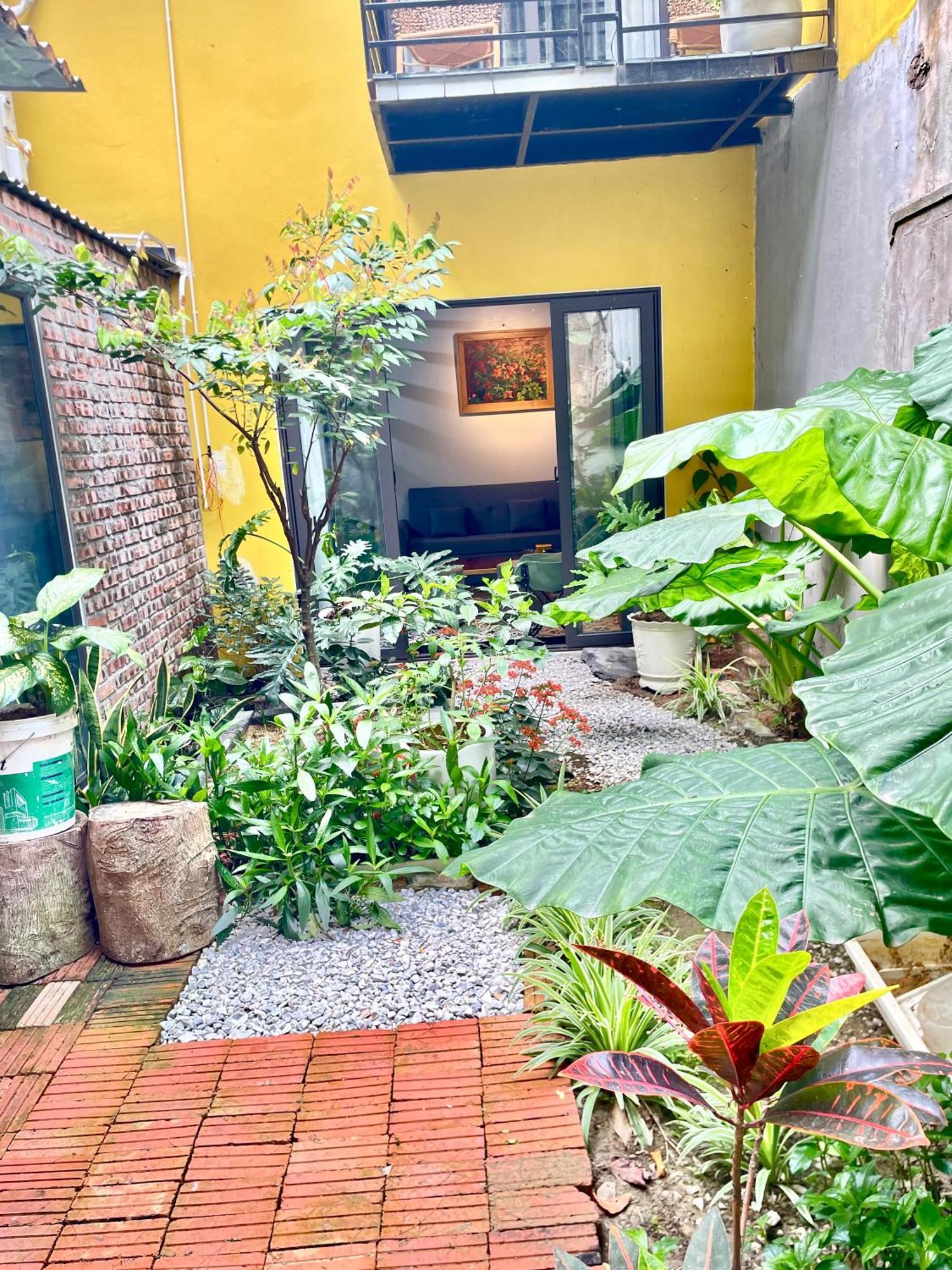 Oc Cat Ba Apartment